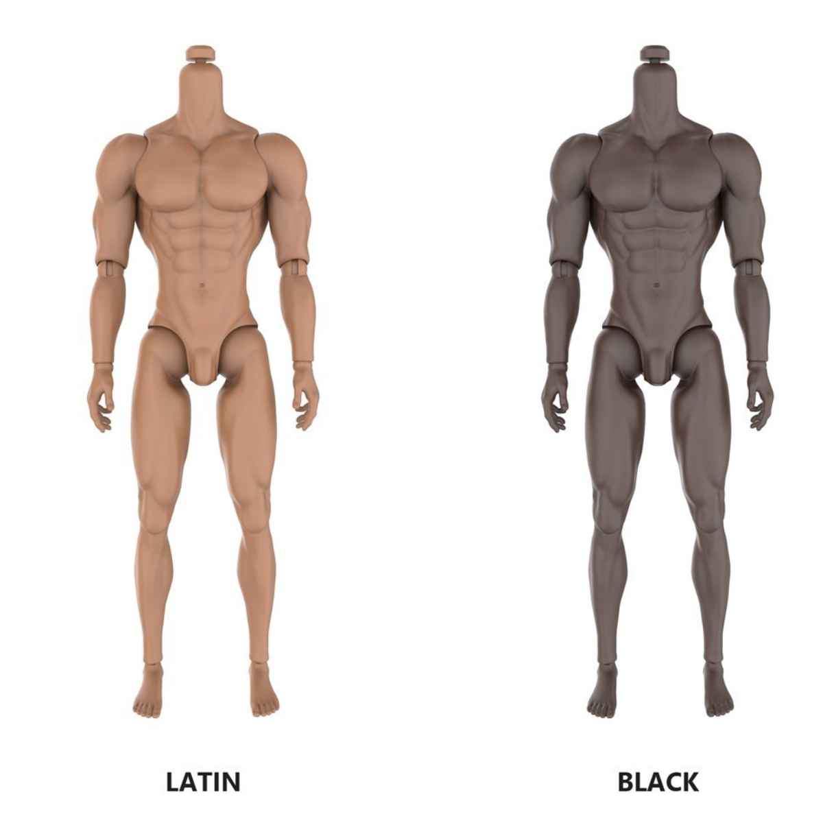 JHDFASHIONDOLL Adonis Replacement Body 2.0 CHOOSE: Latin OR Black