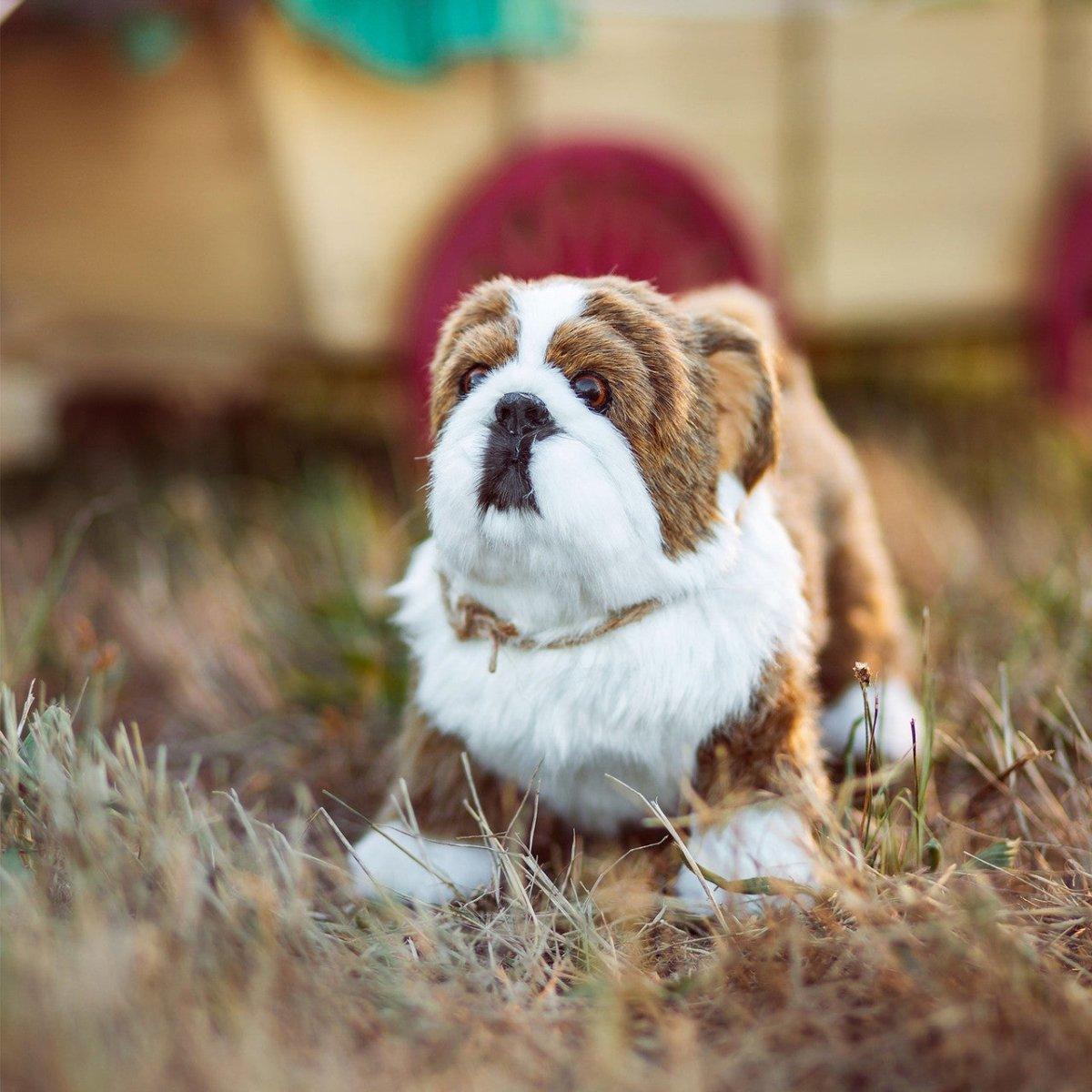 Little House On The Prairie 'Jack The Bulldog' Accessory Pet For 18 Inch Dolls | The Queen's Treasures